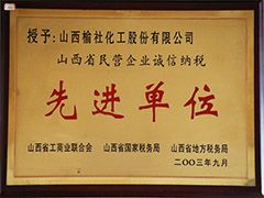 2003年山西省民營企業企業先進單位