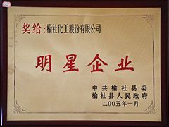 2005年榆社縣明星企業
