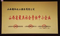 2010年山西省最具社會責任中小企業