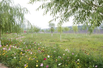 廠區花園